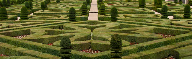 Garden design courses